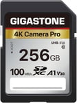 Carte Mémoire SDXC 256 Go,4K Pro Série,Vitesse de Transfert allant jusqu'à 100 Mo/s. Compatible avec Caméra Canon Sony Caméscope,A1 V30 UHS-I Classe 10 pour 4K UHD Vidéo(Q641)