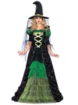 Storybook Witch Hocus Pocus Wicked Sorceress Book Week Women Costume M/L