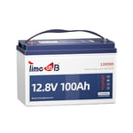 Timeusb Batterie LiFePO4 12V 100Ah TM Batterie Lithium Bateau avec Protection Basse Température, BMS 100A et 15000+ Cycles Profonds pour Moteur de Bateau Électrique Marine Yacht Solaire Camping-Car