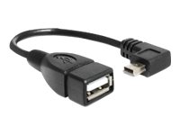 Delock - Usb-Kabel - Mini-Usb Type B (Hann) Til Usb (Hunn) - Usb 2.0 Otg - 16 Cm