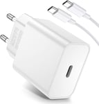 Chargeur Et Câble Usb C 1M Pour Google Pixel 6A 7A 6 Pro 5 5A 5G, Câble Usb C Vers Type C Charge Rapide 18W Pd Adaptateur De Chargeur Pour Ipad Pro Air 2024 Ipad 10 Mini Air Pixel [CDQ092770]