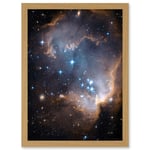 Hubble Space Telescope Image Observations Infant Stars Small Magellanic Cloud Galaxy Bright Blue Glowing Star Cluster NGC 602 Nebula Dust Pillars Art