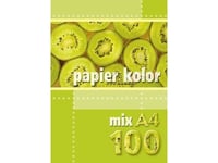 Kreska Xerox-Papper A4 80G Turkos 100 Ark