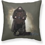 Harry Potter - Housse de coussin Hagrid Multicouleur 50 x 50 cm