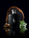 Ralph Lauren Polo Black Edt Spray - Mand - 75 Ml (This Woody Fragrance Is Modern And Advanced, With Notes Of Mango, Spanish Sage, Silver Armoire, Patchouli And Sandalwood, Ideal For The Professional Man. Recommended Wear: Any Time.)