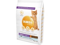 Iams For Vitality Cat Kitten Ocean Fish - Tør Kattefoder - 10 Kg