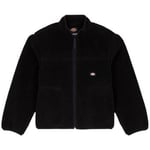 Manteau enfant Dickies  -