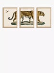 EAST END PRINTS Natural History Museum 'Jaguar' Framed Print, Set of 3