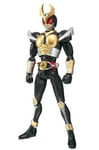 S.H. Figuarts Kamen Masked Rider Agito Figure Sic