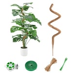 RYHX Tuteur Coco Support pour Plant Grimpante,125CM Tuteur Plante Pliable pour Plante Monstera Maison Jardin Intérieur avec Attaches Torsadées