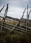 Storefactory Poster Field Fence 50x70cm