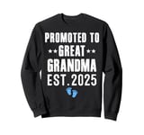 Promoted to Great Grandma 2025 It's A Boy Great Moms 2025 Sweatshirt