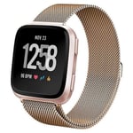 Fitbit Versa Milanese Loop Strap RoseGold