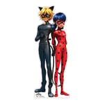 Star Cutouts SC4224 Ladybug and Cat Noir Star Mini Cardboard Cut Out, Small