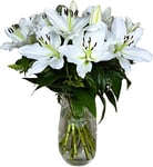 Homeland Florists White Scented Oriental Lily Fresh Flower Bouquet, Luxury Large Gift Wrapped Lilies with Handwritten Gift Card for Birthday or Anniversary