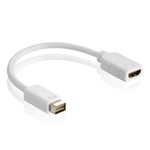 HDGear DA010 Adaptateur Mini DVI vers HDMI (Mini DVI mâle vers HDMI femelle), 0,20m, blanc