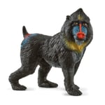 SCHLEICH Schleich - Mandrill 14856