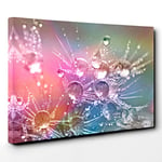 Big Box Art Flower Drops of Water on Dandelion Seeds Canvas Wall Art Print Ready to Hang Picture, 30 x 20 Inch (76 x 50 cm), Multi-Coloured