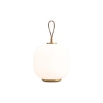 Vl45 Radiohus Pale Rose Portable Lamp