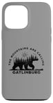 Coque pour iPhone 13 Pro Max Gatlinburg, TN : Les montagnes appellent Bear Forest