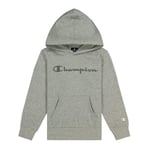 Champion Hooded Sweatshirt Junior