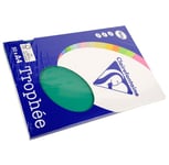 Clairefontaine Lot de 10 Ramettes 50 Feuilles Papier 160g A4 210x297 mm Certifié FSCvert sapin