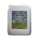 Super Anti Algues Piscine - Action Curative Anti Eau Verte et Eau Trouble - Effet Algicide - Bidon 5 litres - EDG by AQUALUX