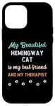 iPhone 12 mini Hemingway Polydactyl Cat Owner Lover Therapist And Friend Case