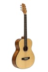 Akustinen kitara Stagg SA25 D SPRUCE