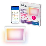 WiZ Smart Ceiling Panel Light - Design fin et carré, plusieurs tailles, commande vocale/application, programmation, Google Home, Amazon Alexa et Apple HomeKit, éclairage intérieur, noir/blanc