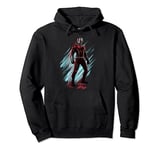 Marvel Ant-Man & The Wasp Transitional Sweat à Capuche