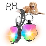 flowlamp Light Up Dog Collar 2PCS, 4 Modes Dog Collar Light, Light Up Dog Collars For Night, LED Dog Collar USB Rechargeable IP65 Waterproof, Safe Lighting For Your Pets In The Dark