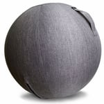 Abilica FitnessBall Cover Diameter 65 cm