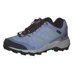 ADIDAS Terrex GTX Mocassin, Bludaw/Greone/Sogold, 38 2/3 EU