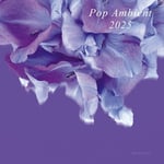 Diverse Artister  Pop Ambient 2025  CD