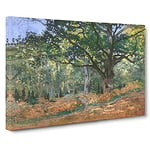 The Bodmer Oak Tree By Claude Monet Canvas Print for Living Room Bedroom Home Office Décor, Wall Art Picture Ready to Hang, 30 x 20 Inch (76 x 50 cm)