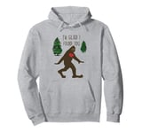 Big Foot, I'm Glad I Found You Pullover Hoodie