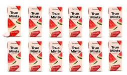 True Mints WATERMELON Flavour (12-pack) - Sugar Free Mints - Xylitol Mints - Fruit Pastilles - Sugar Free & Plantbased Travel Sweets with Natural Flavours