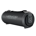LEDWOOD ACCESS100 - Enceinte Bluetooth 100W