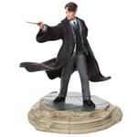 Enesco Wizarding World of Harry Potter Tom Riddle Figurine Figurine