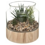 Atmosphera Créateur D'intérieur - Terrarium en Verre & Bois 'Brito' 17cm Transparent