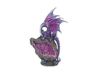 Nemesis Now Figurine de Dragon Protecteur en améthyste - Violet, 22 cm