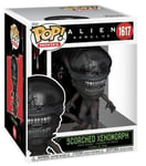 FUNKO POP! - FIGURINE ALIEN (ROMULUS) - 1617 - SCORCHED XENOMORPH