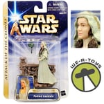 Star Wars Attack of the Clones Padme Amidala Secret Ceremony Action Figure 2003