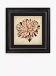 Pop Floral VI Framed Print & Mount, 56 x 56cm, Black/Pink