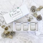 Atelier 38 Myrrh & Tonka, Spiced Orange, & Winter Berries Soy Candle Gift Set