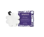 Hajustettu sieni Spongelle Boxed White Flower - Blackberry