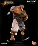 STREET FIGHTER - Gouken Mixed Media 1/4 Statue Pop Culture Shock