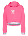 Juicy Couture Juicy Rib Tipping Oth Hoodie Lb Rosa