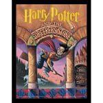 Pyramid International HARRY POTTER Framed Print Collector's Edition (Sorcerer's Stone Design) 30cm x 40cm - Official Merchandise